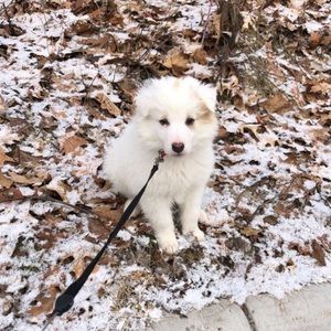 Meet your Posher, Helen